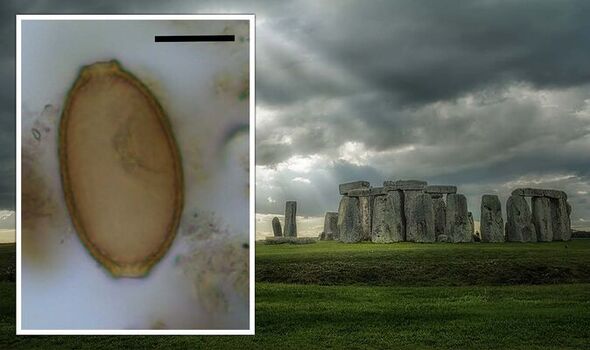 Stonehenge breakthrough as Neolithic chefs’ ‘winter feast’ secrets unveiled for first time